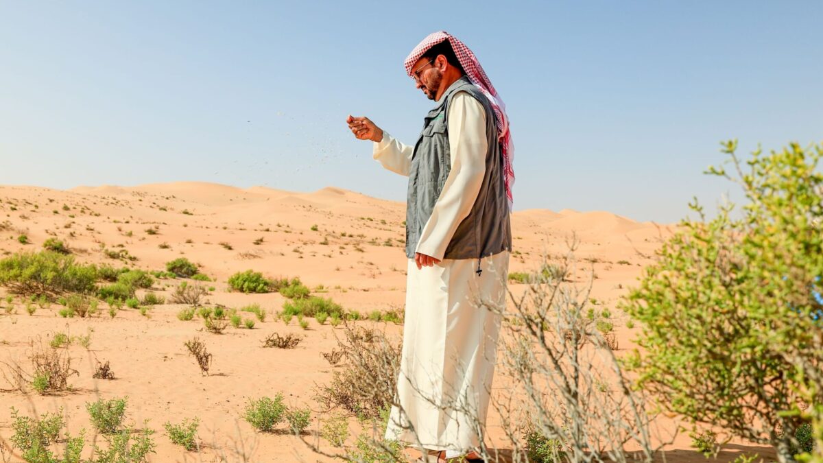 “البيئة – أبوظبي” تستكمل نثر 6.5 مليون بذرة محلية لتعزيز الغطاء النباتي في المحميات الطبيعية